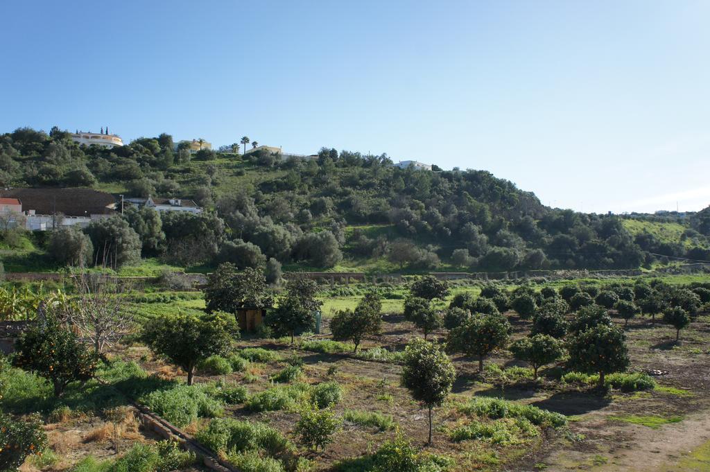 فندق Horta Grande سيلفيس المظهر الخارجي الصورة